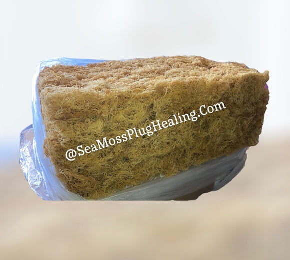 1lb  Of Wildcrafted Sea Moss